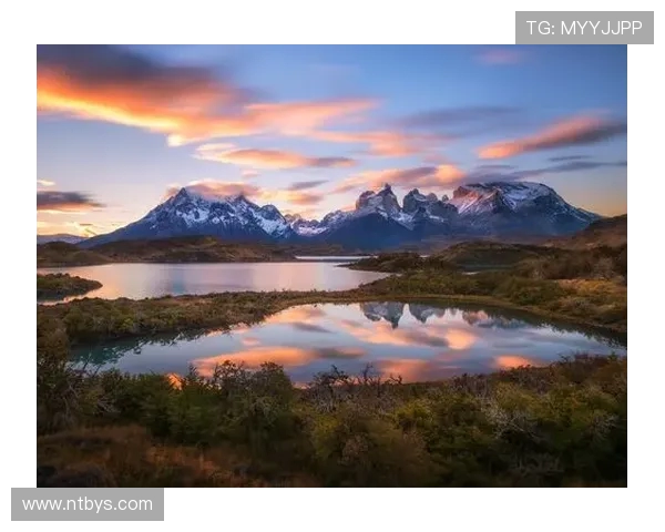 厄尔多瓜与智利的足球对决揭示南美洲足球的激烈竞争与历史渊源